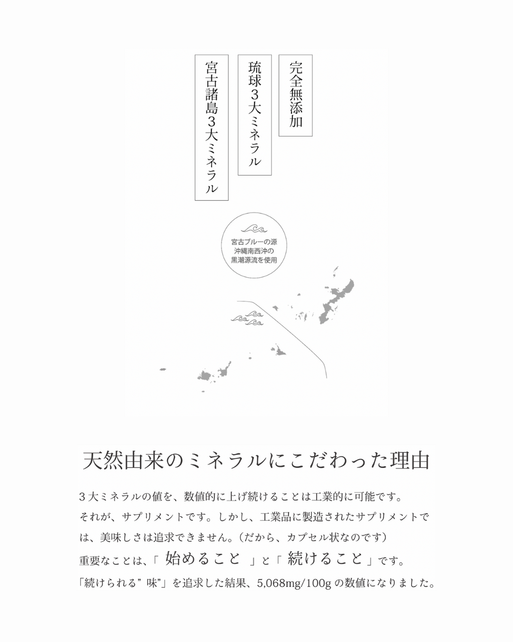 Salt Supplement 整塩 ToTojio®︎ Made in Okinawa (100g×1個)